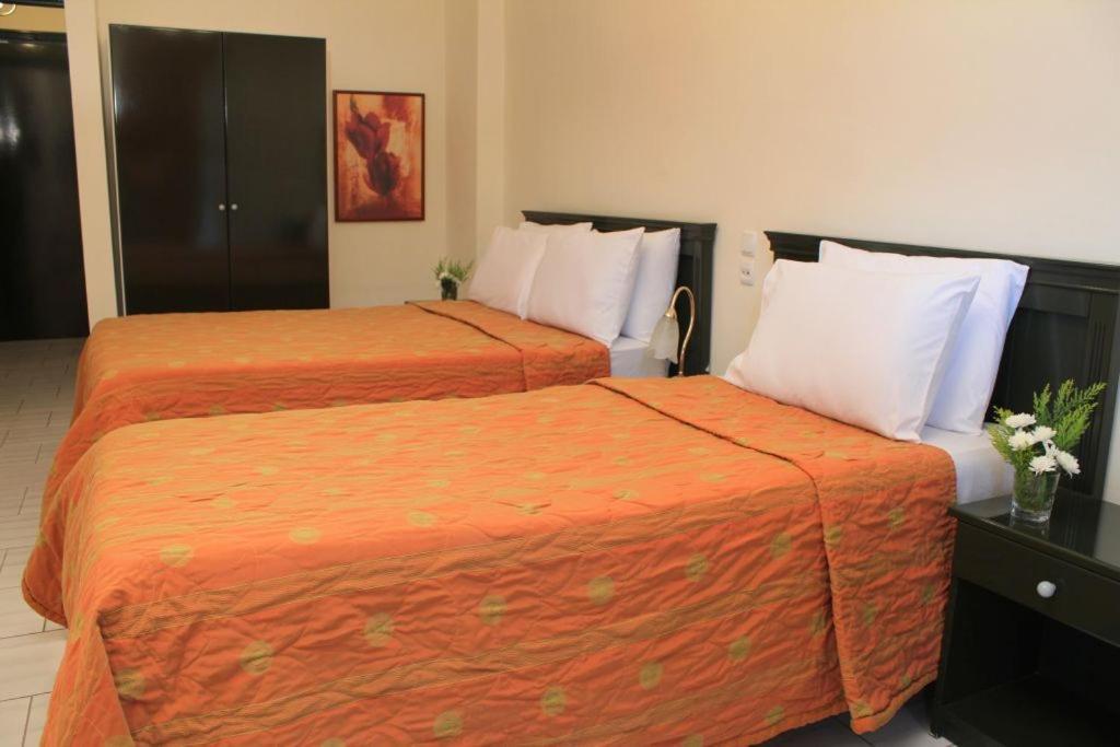 Famissi Eden Hotel Калампака Номер фото